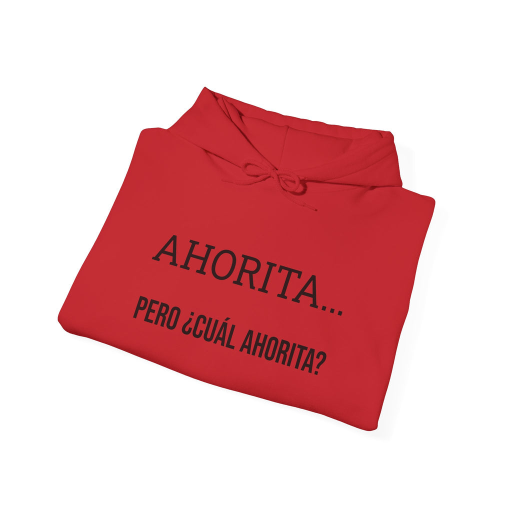 Ahorita Hoodie — "Ahorita... Pero ¿Cuál Ahorita?" Spanish with Lily -  Pullover