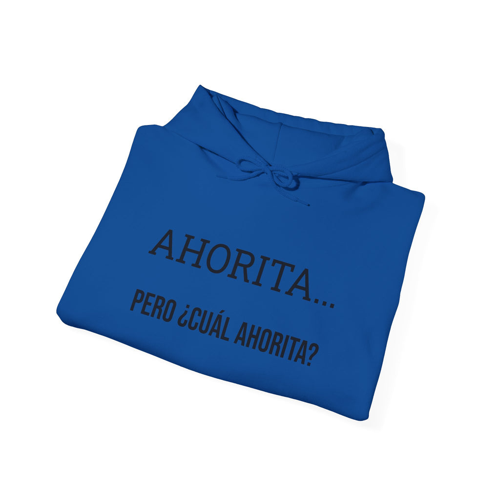 Ahorita Hoodie — "Ahorita... Pero ¿Cuál Ahorita?" Spanish with Lily -  Pullover