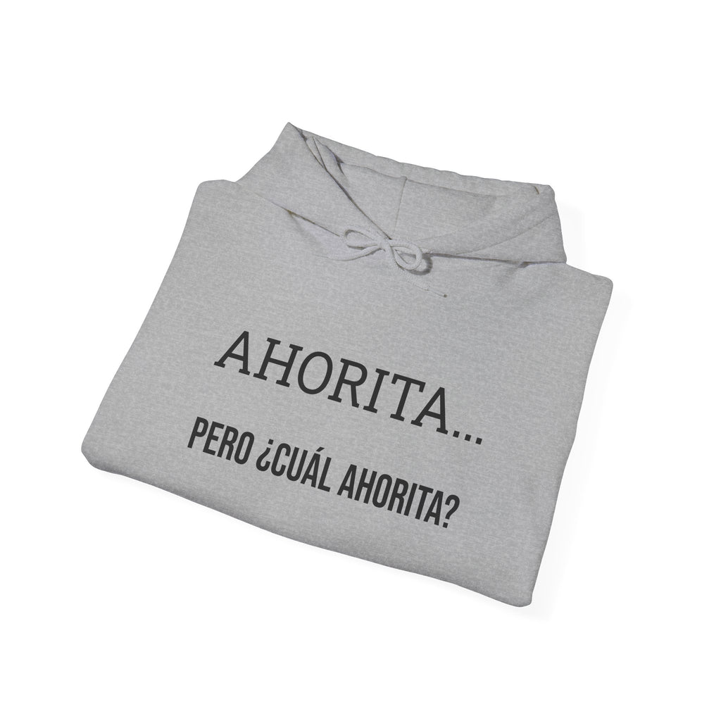 Ahorita Hoodie — "Ahorita... Pero ¿Cuál Ahorita?" Spanish with Lily -  Pullover