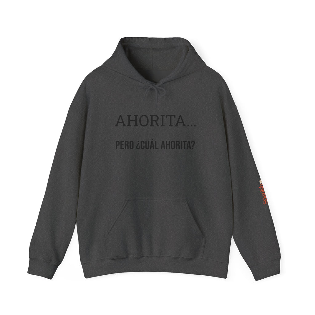 Ahorita Hoodie — "Ahorita... Pero ¿Cuál Ahorita?" Spanish with Lily -  Pullover