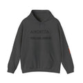 Ahorita Hoodie — "Ahorita... Pero ¿Cuál Ahorita?" Spanish with Lily -  Pullover