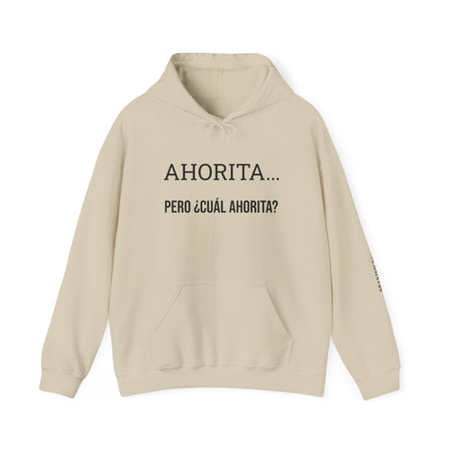 Ahorita Hoodie — "Ahorita... Pero ¿Cuál Ahorita?" Spanish with Lily -  Pullover
